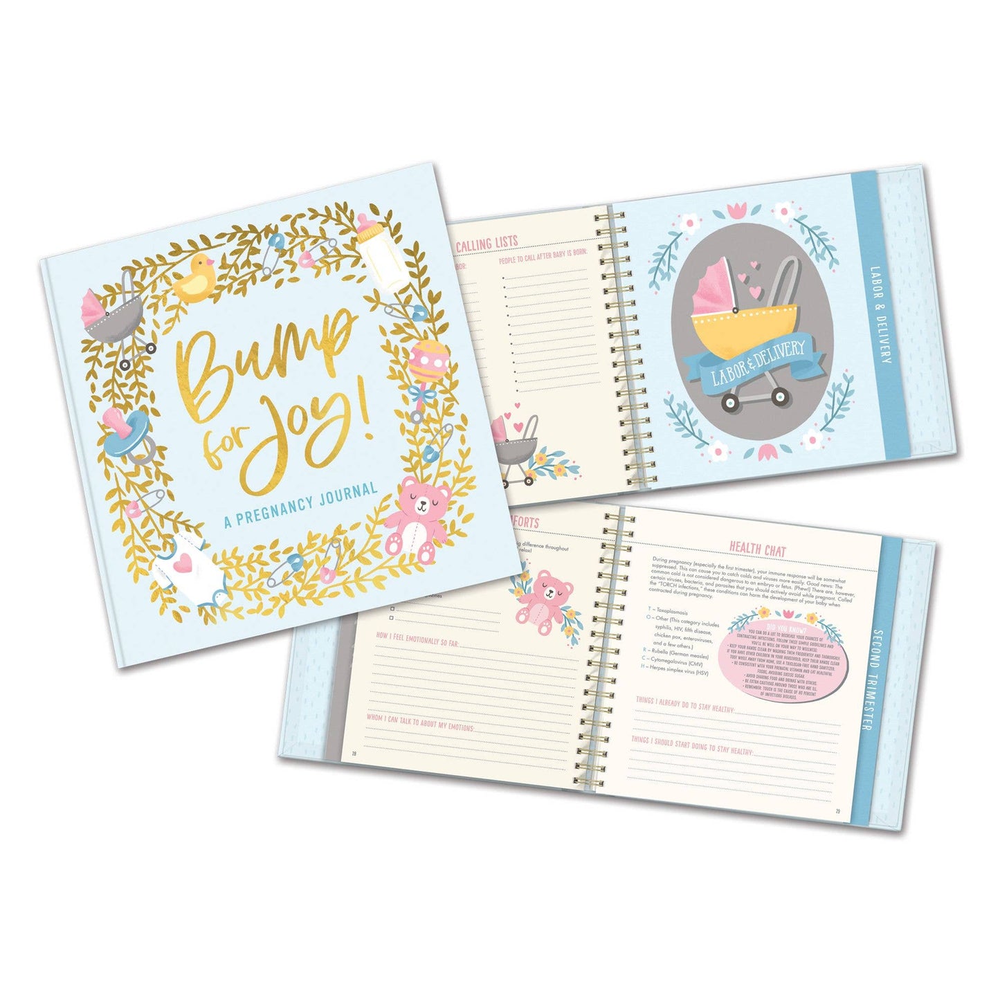 Bump for Joy: A Pregnancy Journal (Blue)