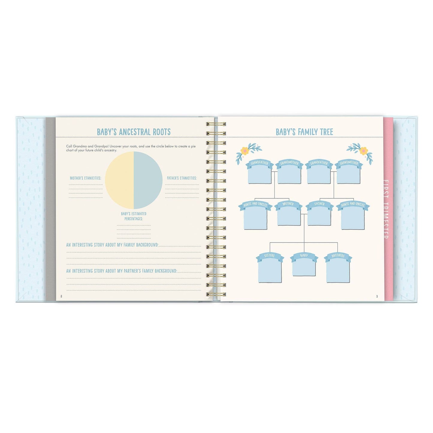 Bump for Joy: A Pregnancy Journal (Blue)
