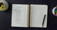 ESV Scripture Journal, Spiral-Bound Edition: Psalms